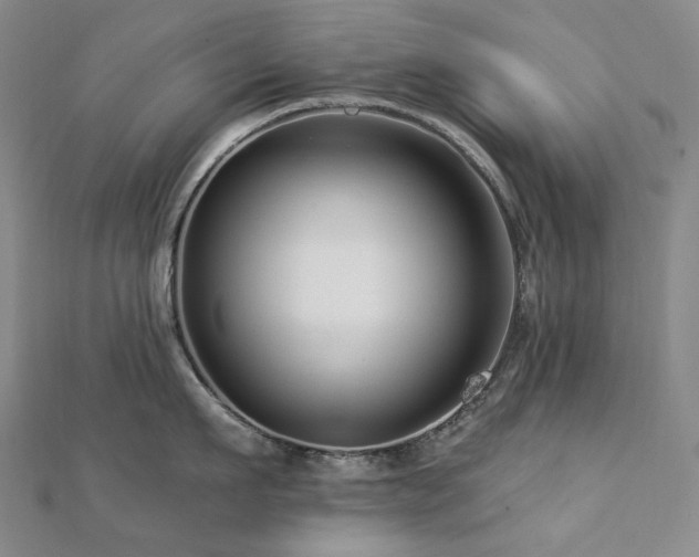 X0000112890911200908211451