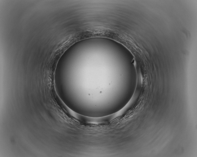 X0000112890916200908211450