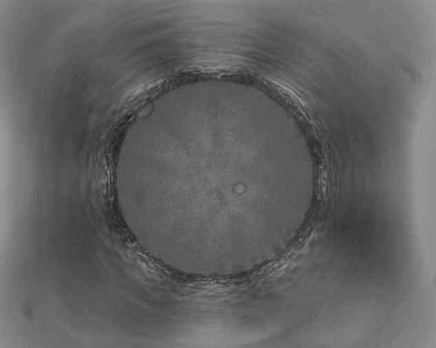 X0000112890917200908211450