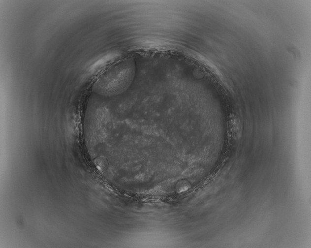 X0000112890918200908211450