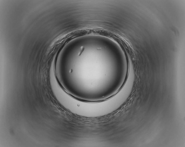 X0000112890920200908211450