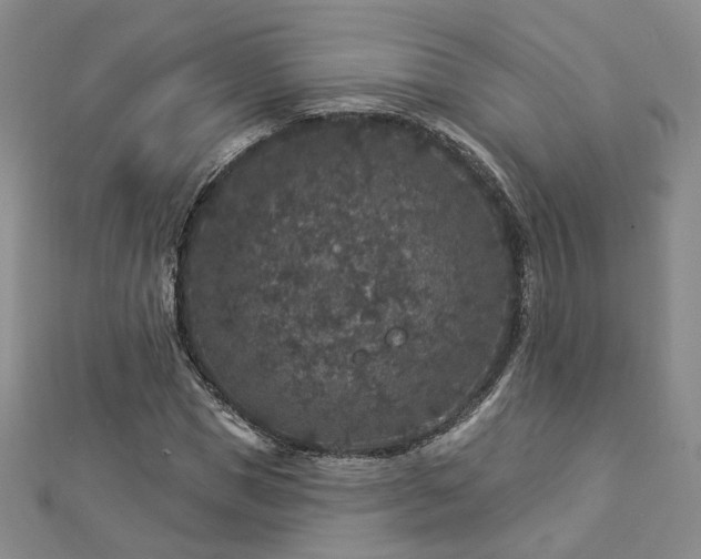 X0000112890921200908211450