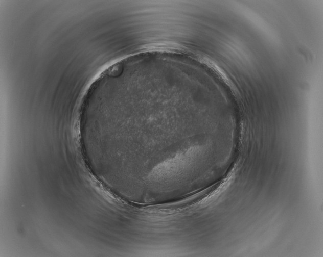X0000112890923200908211450