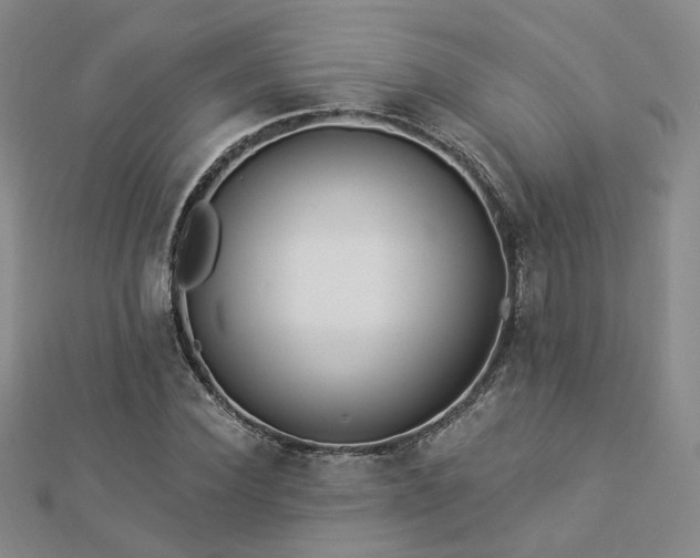 X0000112890924200908211450