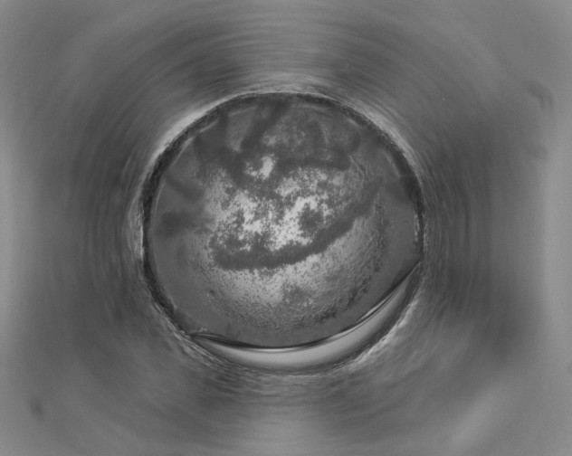 X0000112890925200908211450