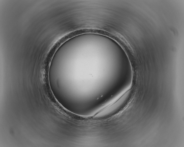 X0000112890926200908211450