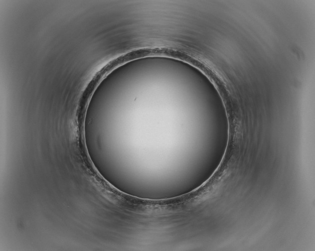 X0000112890927200908211450