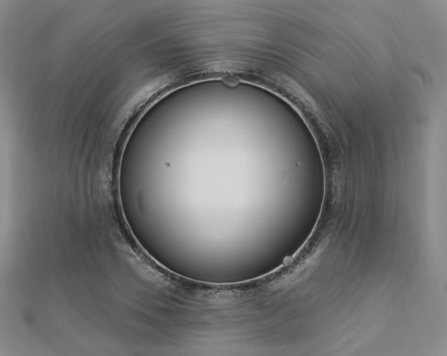 X0000112890930200908211450