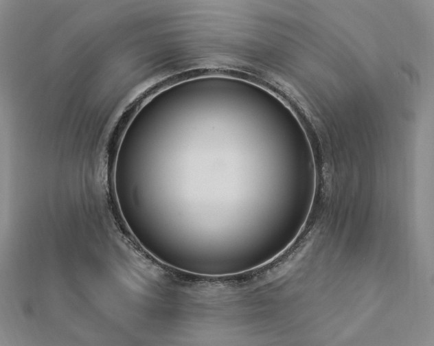 X0000112890931200908211450