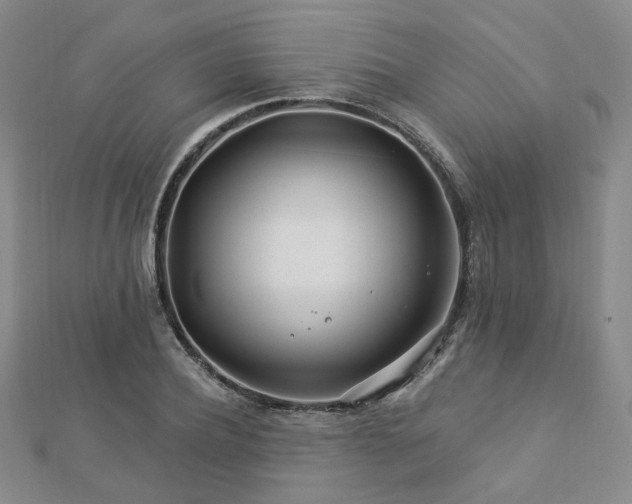 X0000112890932200908211450