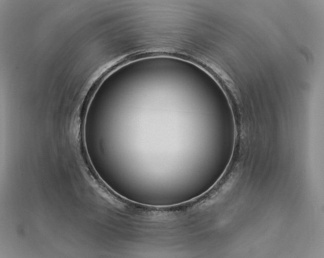 X0000112890933200908211450