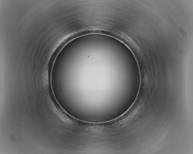 X0000112890934200908211450