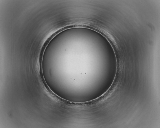 X0000112890936200908211450