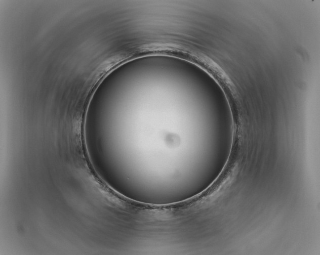 X0000112890937200908211450
