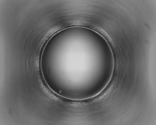 X0000112890938200908211450