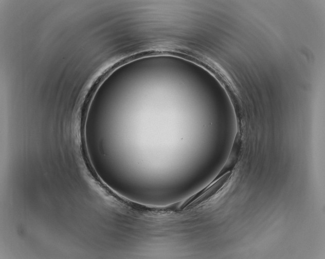 X0000112890939200908211450