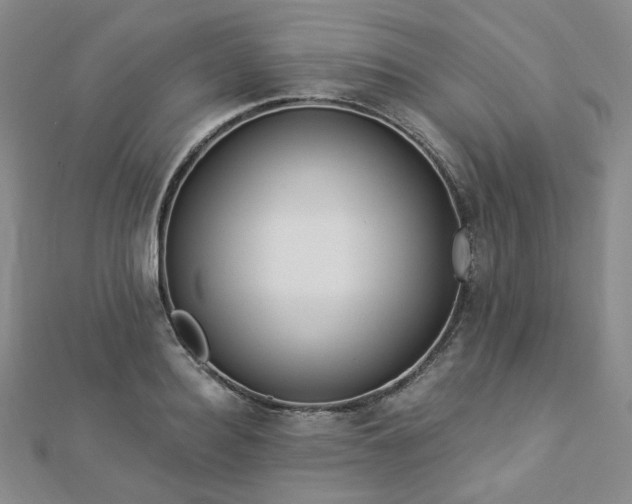 X0000112890940200908211450