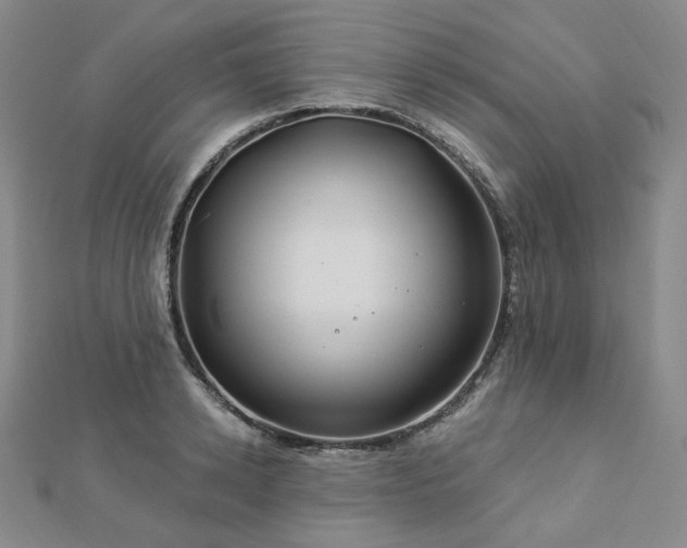 X0000112890942200908211450