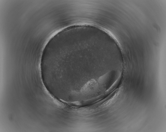 X0000112890943200908211450