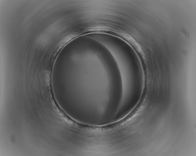 X0000112890945200908211450