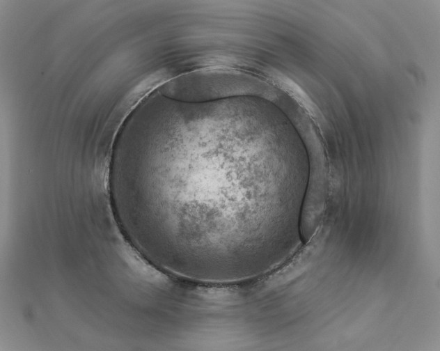X0000112890946200908211450