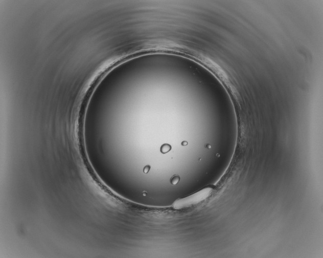 X0000112890947200908211451