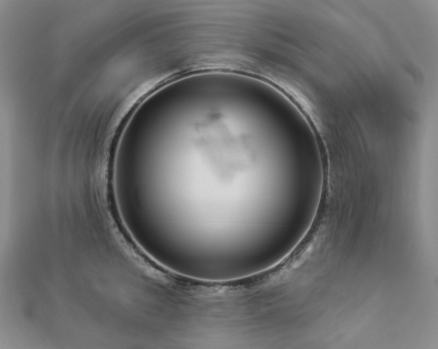 X0000112890949200908211451