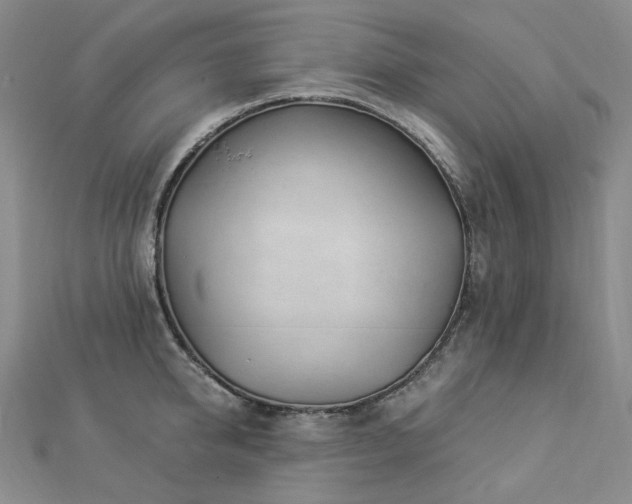 X0000112890950200908211451