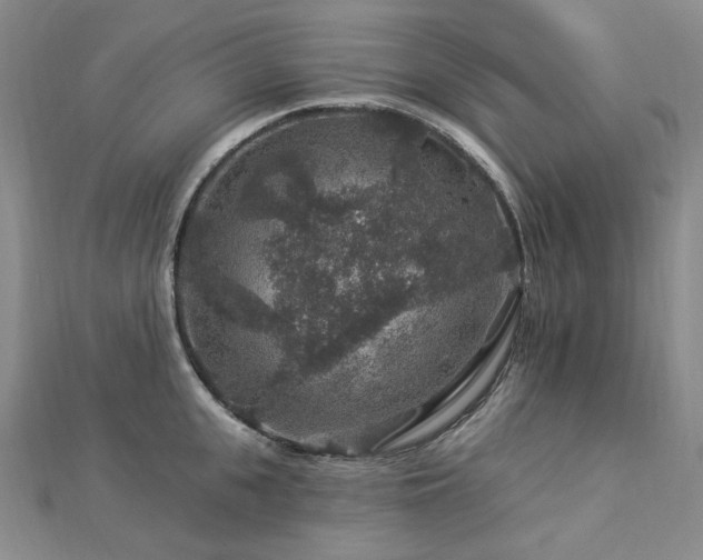 X0000112890951200908211451