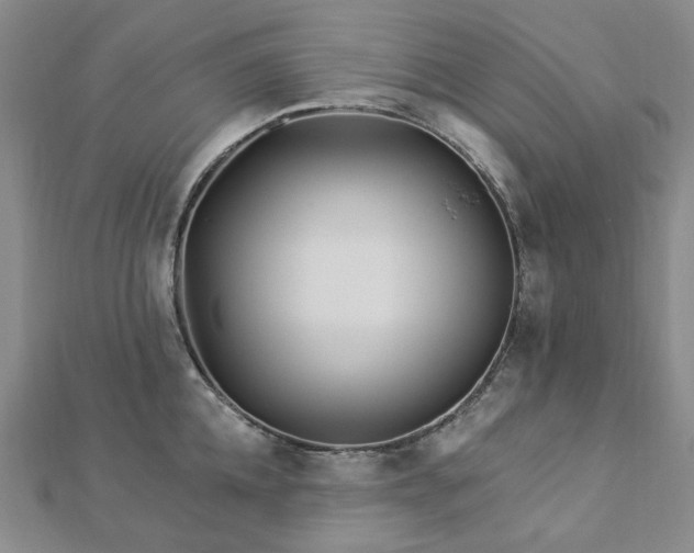 X0000112890952200908211451