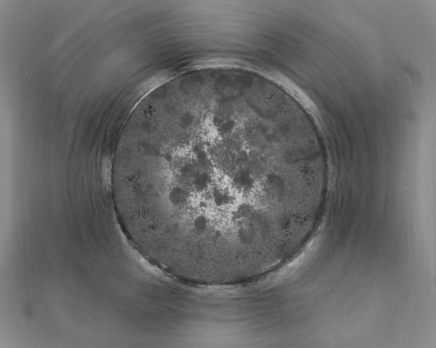 X0000112890953200908211451