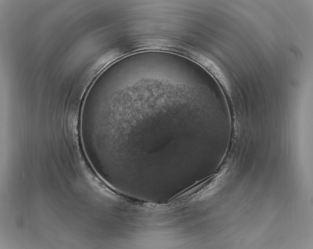 X0000112890954200908211451