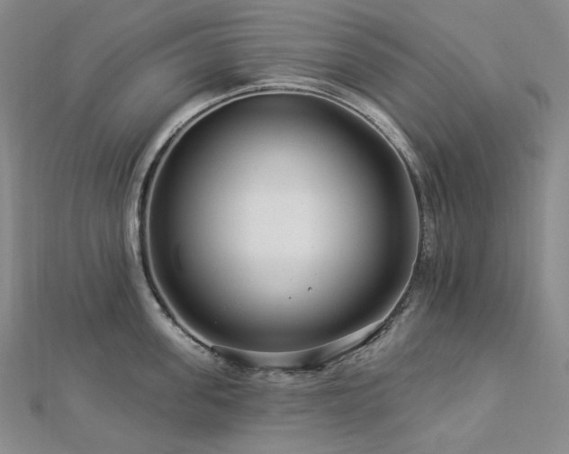 X0000112890955200908211451