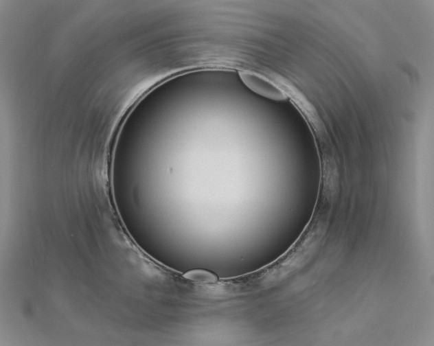 X0000112890956200908211451