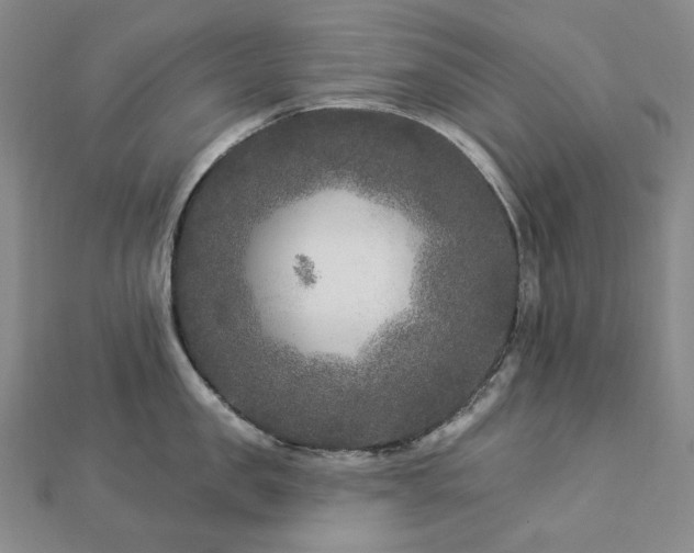 X0000112890957200908211451