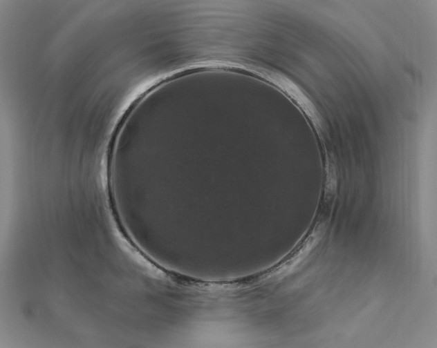 X0000112890958200908211451