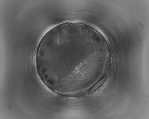 X0000112890959200908211451