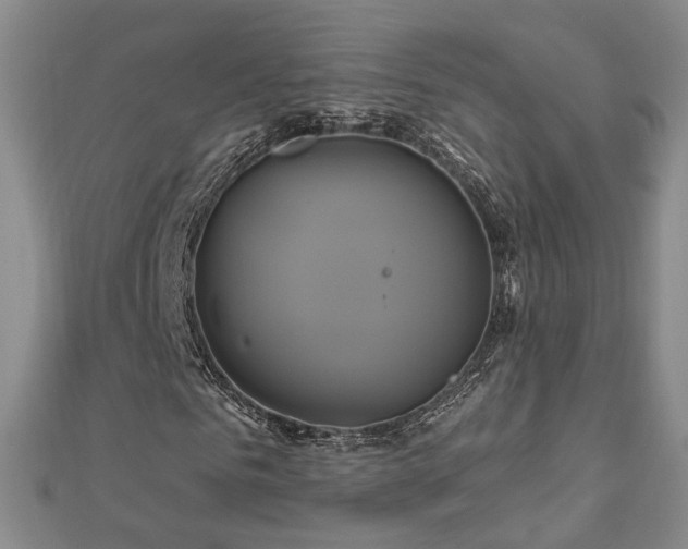 X0000112890961200908211450