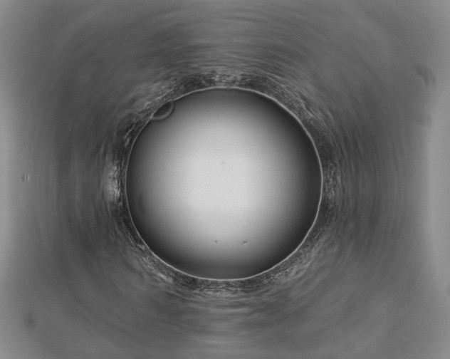 X0000112890962200908211450