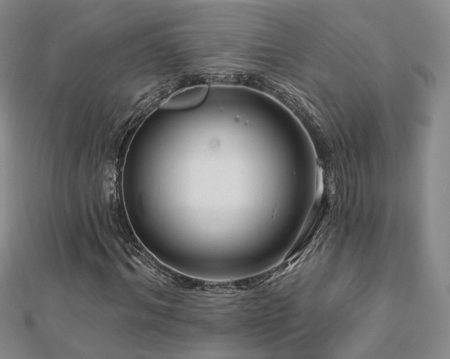 X0000112890964200908211450
