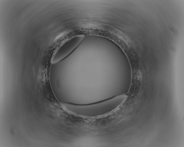X0000112890965200908211450