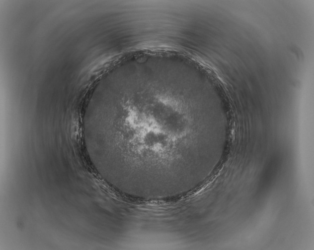 X0000112890966200908211450