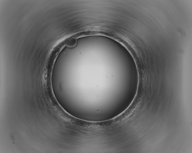 X0000112890971200908211450