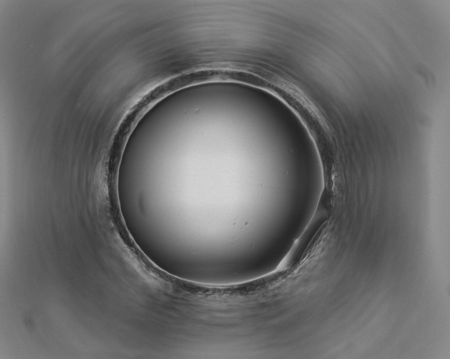 X0000112890972200908211450