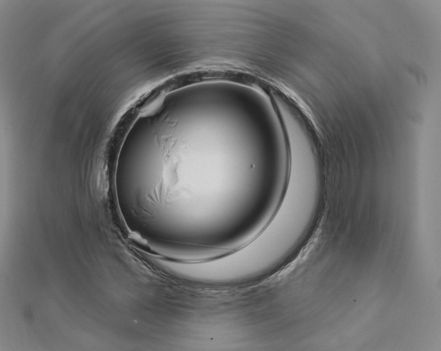 X0000112890973200908211450