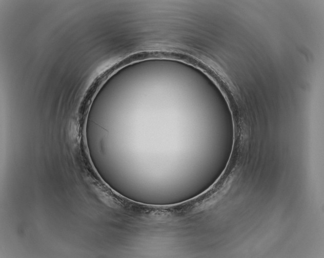 X0000112890974200908211450