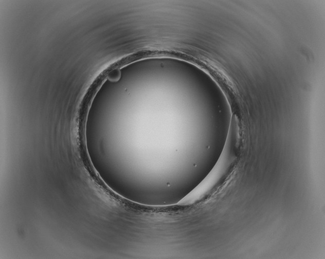X0000112890976200908211450