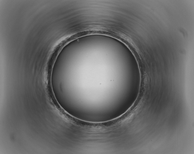 X0000112890979200908211450