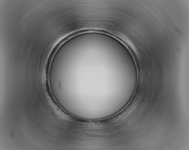 X0000112890980200908211450