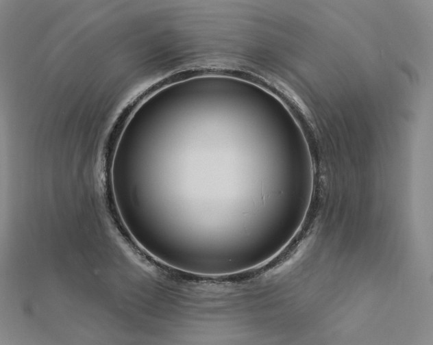 X0000112890981200908211450